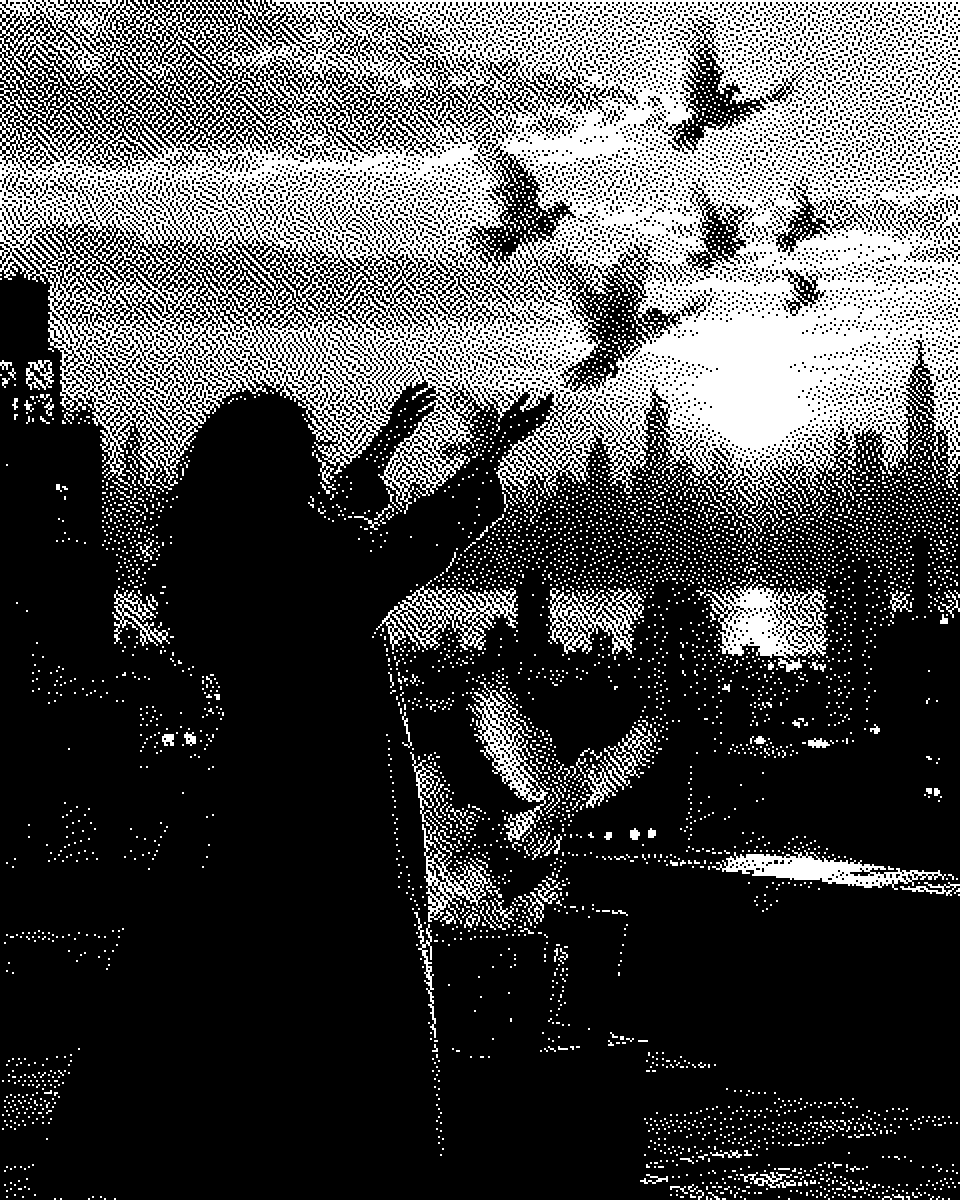 Freedom