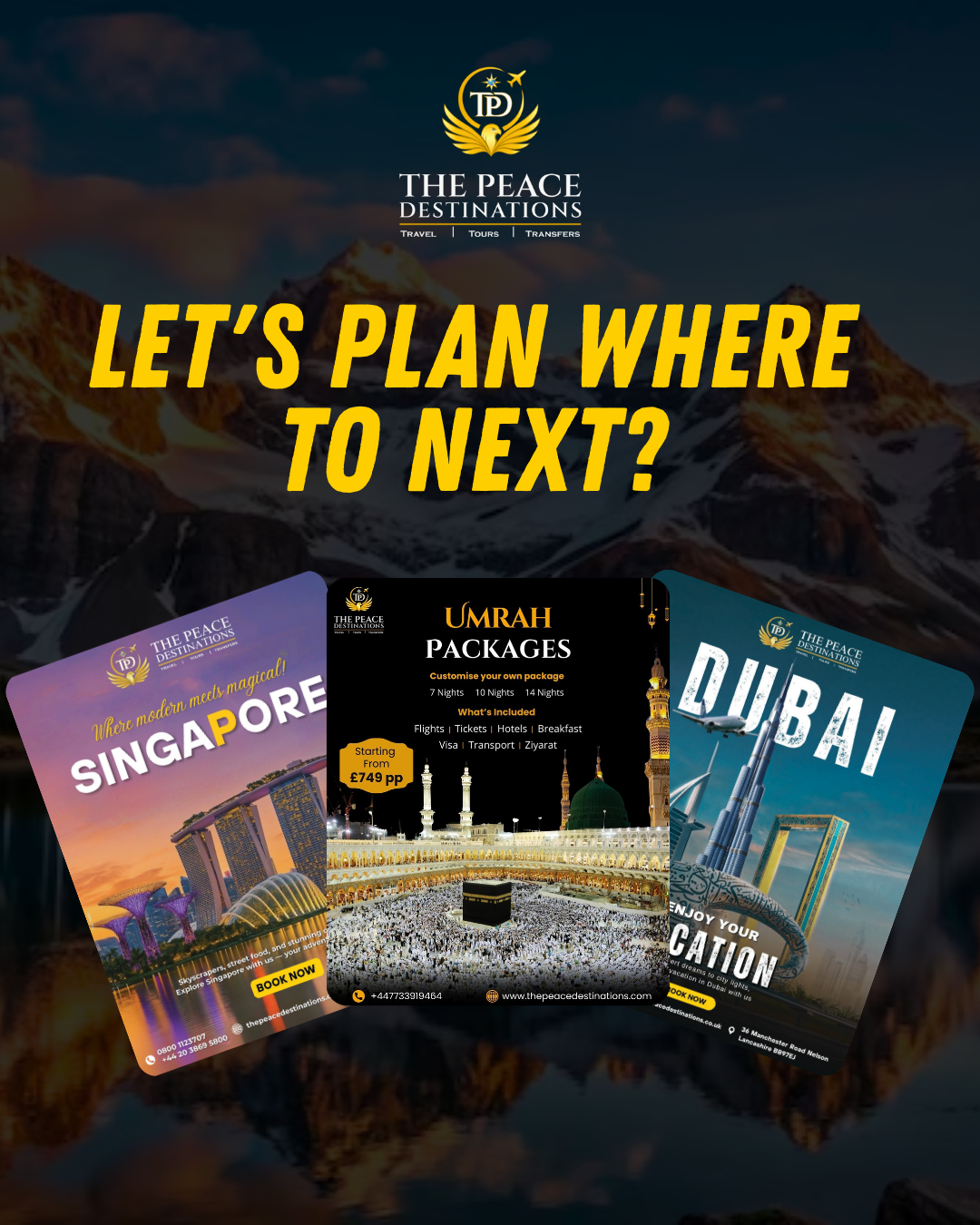 oneli builders project preview